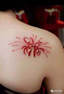  ，彼岸花适合男士纹身吗？，彼岸花是否适合男士纹身？--第1张
