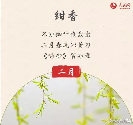  十二个月花的顺序顺口溜--第1张