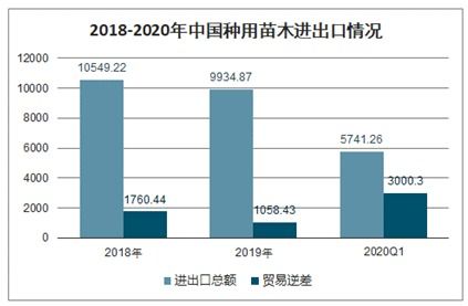  中国苗木市场的现状与发展趋势，中国苗木市场的现状与发展趋势，行业规模扩大与多元化发展趋势--第1张