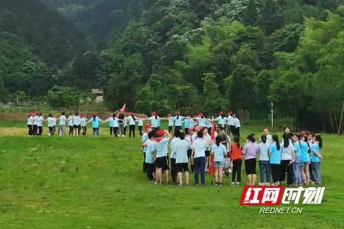  植物的传播方式，探索植物如何将种子散布到世界各地--第1张