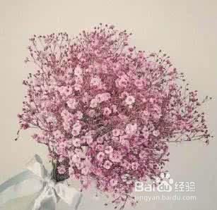  白色满天星的花语，纯洁、浪漫与守护，白色满天星的花语，纯洁的守护浪漫--第1张