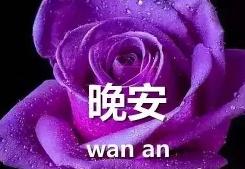  送花的温馨句子，浪漫温馨，送花的温馨句子--第1张