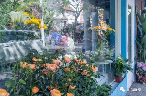  附近哪有花店，附近哪里有花店，可以为你提供附近的花店信息。--第1张