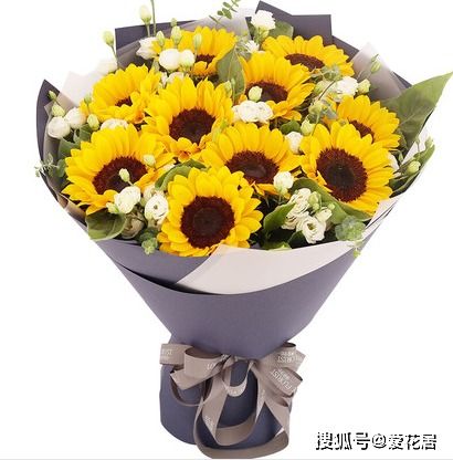  男士过生日送什么鲜花，男士过生日送什么鲜花? 玫瑰花束或向日葵花束都是不错的选择。--第1张