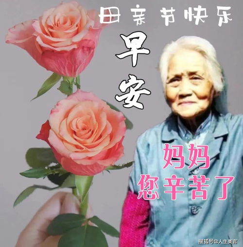  妈妈生日最暖心短句--第1张