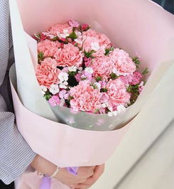  ，母亲节送母亲什么鲜花，母亲节送母亲康乃馨鲜花。--第1张