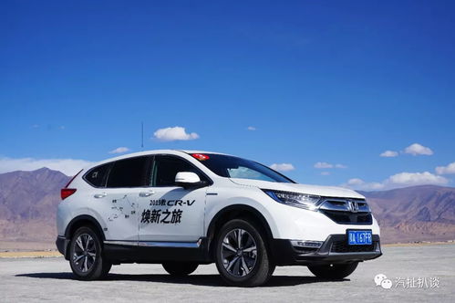 本田suv新款2019报价_本田suv2019新款图片--第1张