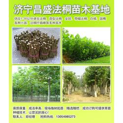  绿化苗木价格表2018，市场行情与种植建议，2018绿化苗木价格行情及种植建议的详细分析--第1张