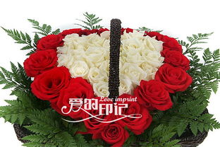  17朵玫瑰花代表的含义，浪漫之花，17朵玫瑰花代表的含义--第1张