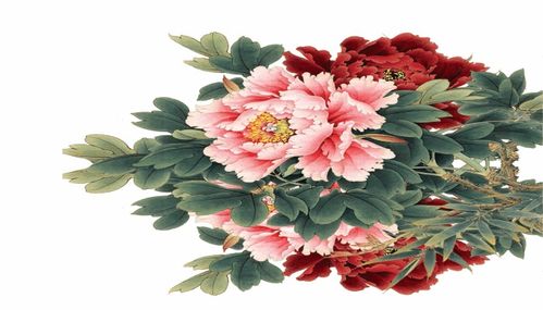  中国国花，花的象征与寓意--第1张