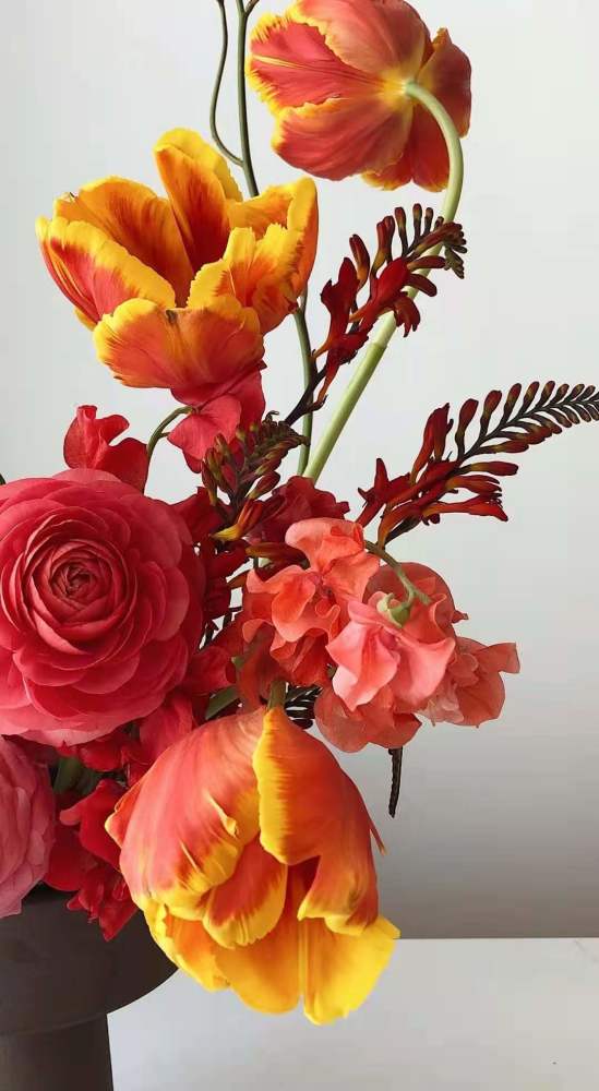  绚丽多彩的花世界，各种花的图片和名字，绚丽花海，探索多彩花世界的美妙之旅--第1张