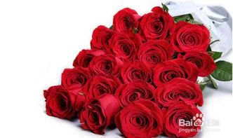  26朵玫瑰花的含义，26朵玫瑰花，爱的独特表达--第1张