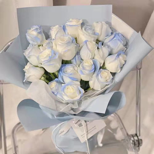  碎冰蓝花语，碎冰蓝的花语是纯洁、安静、守护、永恒的爱和希望。--第1张