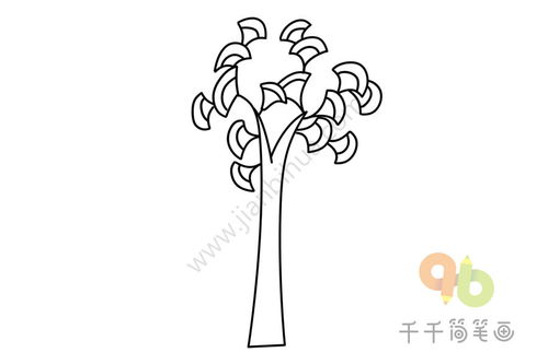  银杏树简笔画，银杏树简笔画教程--第1张