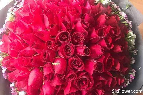  99多玫瑰，永恒的爱情之花，永恒的爱情之花，99多玫瑰的魅力--第1张