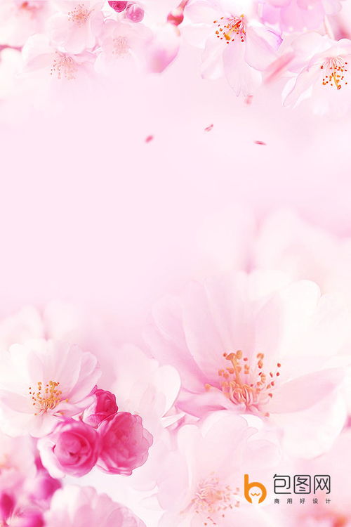  桃花图片，春天的美丽与温馨，桃花盛开，春天的美丽与温馨时光--第1张