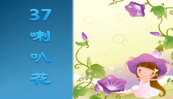  三年级牵牛花，三年级牵牛花的特点、生长环境及养护技巧--第1张