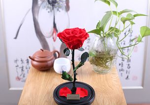  ，16朵红色玫瑰的含义，爱的献礼与浪漫的象征，红玫瑰献情，浪漫之花——16朵红色玫瑰的特殊含义--第1张