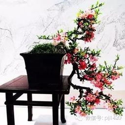  海棠树的栽培与养护，海棠树栽培与养护技巧--第1张