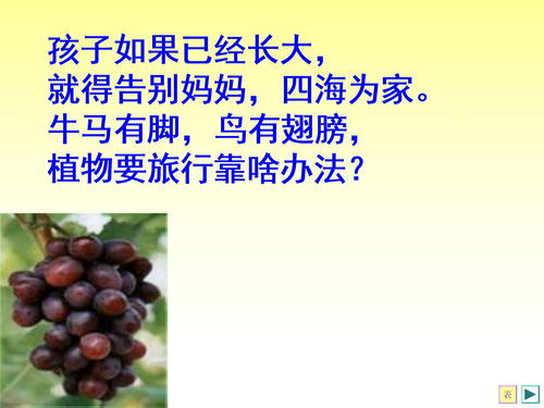  种子传播的方法有几种--第1张