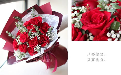  粉玫瑰11朵花语是什么，粉玫瑰11朵，浪漫与珍重的花语象征--第1张