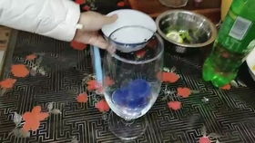  蓝色妖姬鸡尾酒的含义，蓝色妖姬鸡尾酒的含义可能包括爱情、友谊和永恒。--第1张