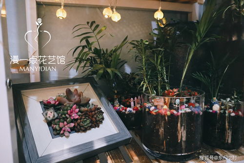  鲜花店产品和服务，为生活增添色彩，为生活增添色彩的鲜花产品与服务--第1张