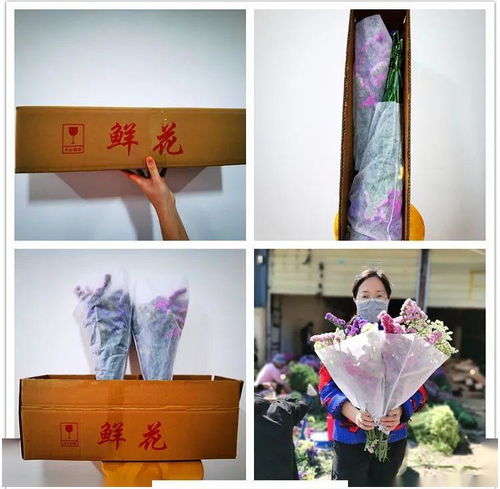  勿忘我花语图片——永恒的爱，永恒的思念，勿忘我花语图片——永恒的爱，思念与回忆--第1张