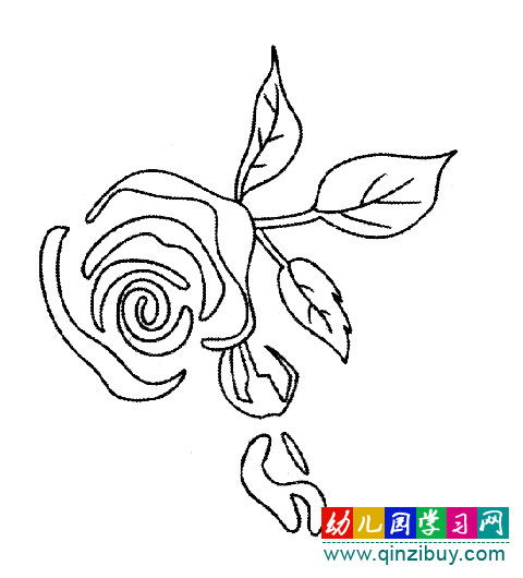  玫瑰花的美丽描绘，玫瑰花的娇艳之色，美丽描绘--第1张