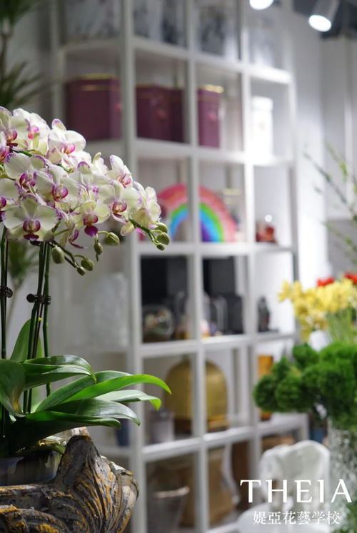  投资一个花店大概需要多少钱--第1张