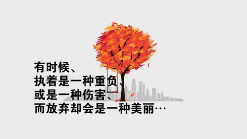 朋友圈晒花的心情短语一句，鲜花盛开，心情如花般绽放--第1张