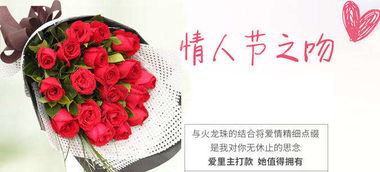  给女朋友道歉送什么花？，给女朋友道歉送什么花？道歉之花，传递爱意--第1张