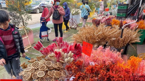  广州花卉批发市场，花卉交易的繁华之地--第1张