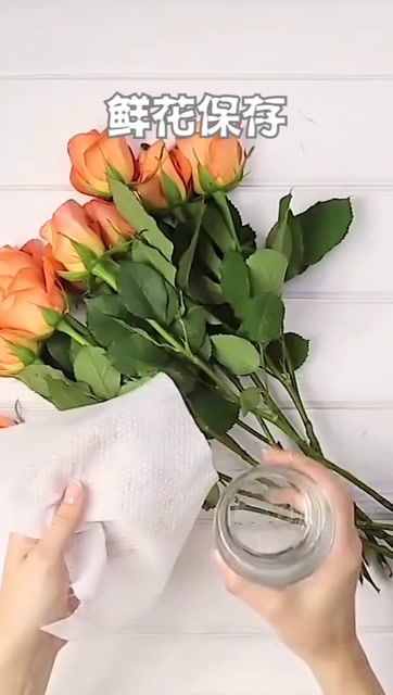  鲜花如何保存更久，鲜花的持久保存秘诀--第1张