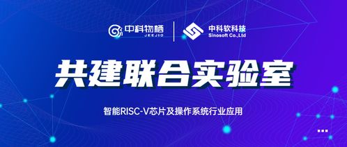  中国林木信息价格网——引领林木行业信息化的重要平台--第1张