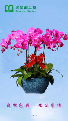  霸州鲜花店订花电话，一站式订花服务，让您的生活更加美好--第1张