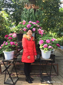  文冠果种子的奇妙之旅--第1张