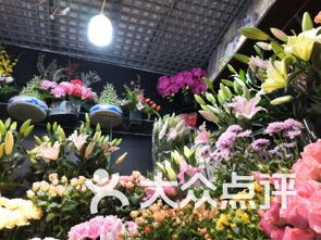  这附近哪里有鲜花店？--第1张