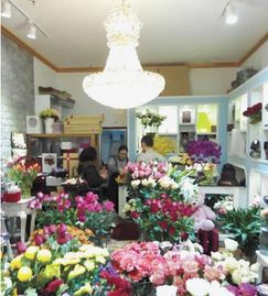  店市附近鲜花店——浪漫与艺术的完美结合，店市附近鲜花店，浪漫与艺术的完美结合之地--第1张