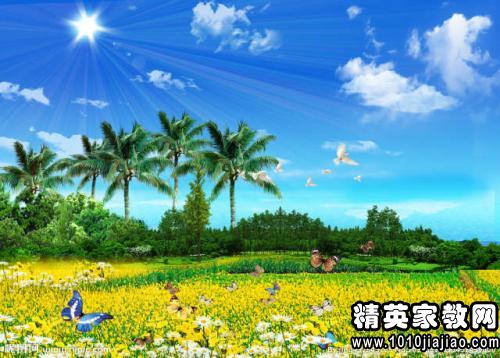  春天的十种代表景物，春天的十种代表景物有，樱花、迎春花、嫩芽、春风、春雨、柳树、春草、杜鹃花、春鸟、水仙花。--第1张