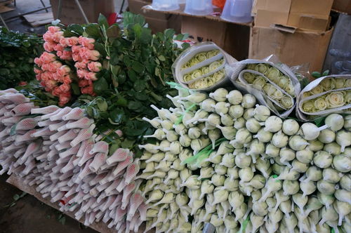  斗南鲜花批发每日花价，探寻花卉市场的秘密，斗南鲜花批发市场每日花价，揭秘花卉市场的神秘面纱--第1张