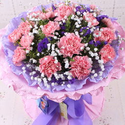  一般花店康乃馨的价钱，康乃馨花店的日常价格，康乃馨的花卉价格波动--第1张