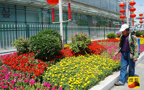  西安同城鲜花，打造城市文化新名片，西安同城鲜花，打造城市文化新名片--第1张