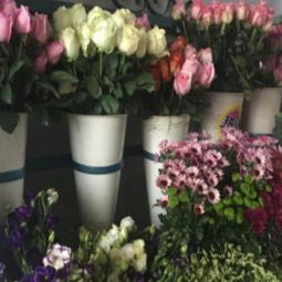  花点时间鲜花店加盟费，花点时间鲜花店加盟，轻松开启鲜花零售事业，费用一览无余--第1张