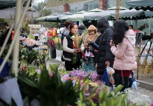  成都买花的地方，成都买花的地方有，成都花市、成都春熙路等。--第1张