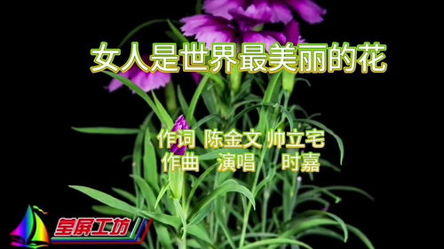  世界上最漂亮的花--第1张