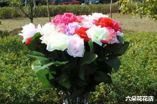  送16朵玫瑰花代表什么意思，送16朵玫瑰花，爱的真挚表达--第1张