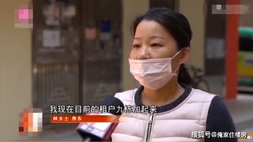  热播短剧完蛋，我被房客包围了！站住房东你别跑，孙樾、杨洁免费全集--第1张