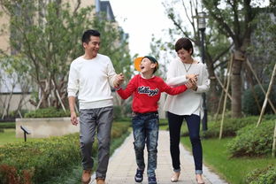  热播短剧沈先生结婚吗免费全集--第1张