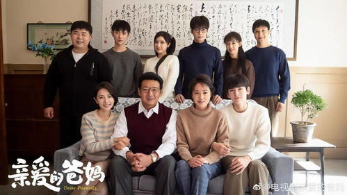  ，热播短剧我的豪横婆婆免费全集，一部颠覆传统家庭剧的佳作--第1张
